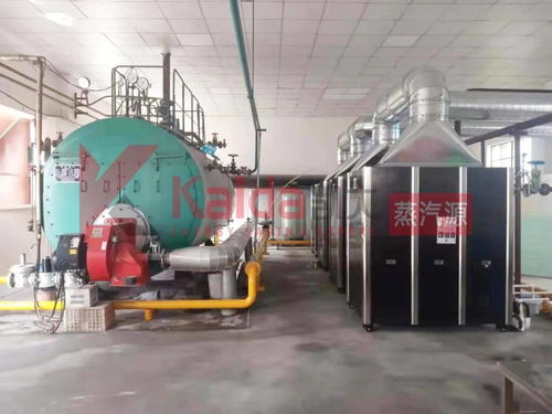 真低氮選凱大 食品廠4臺1t超低氮變頻蒸汽源機(jī)組完美替換4t傳統(tǒng)燃?xì)忮仩t及避雷方案解析